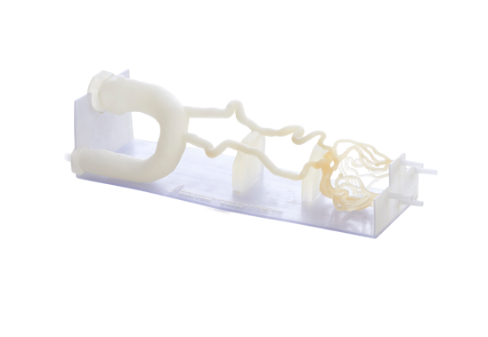 neuro vascular DAP 3d Print